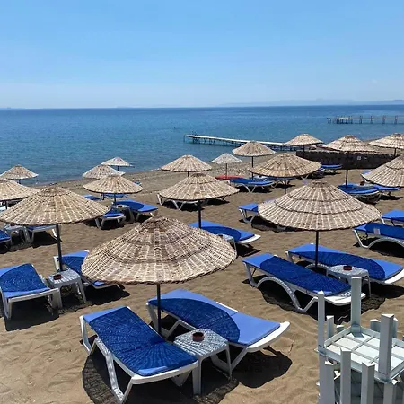 Bed & Breakfast The Garden Tiny Homes