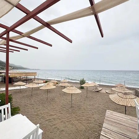 The Garden Tiny Homes