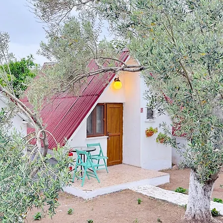 Bed & Breakfast The Garden Tiny Homes