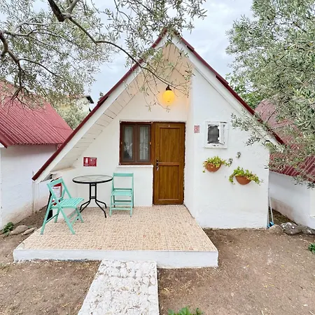 Bed & Breakfast The Garden Tiny Homes
